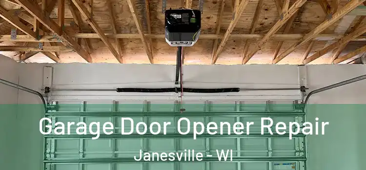  Garage Door Opener Repair Janesville - WI