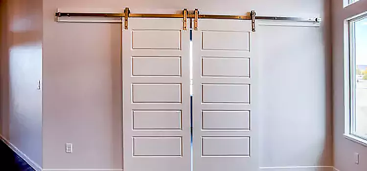 Glass Barn Door with Installation Hardware Kit Janesville