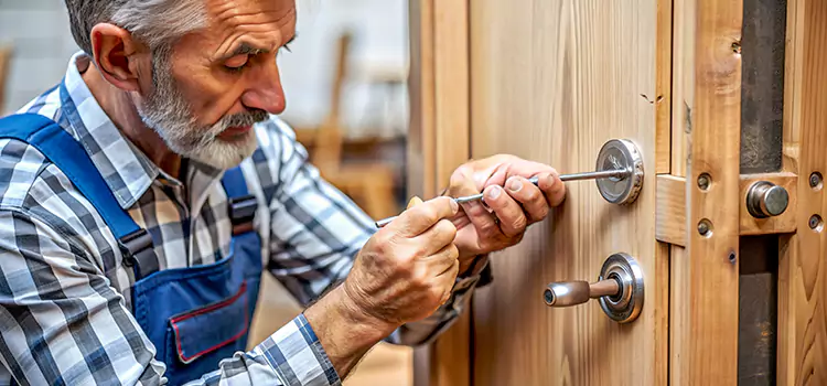 Mortise Replacement Lock Janesville