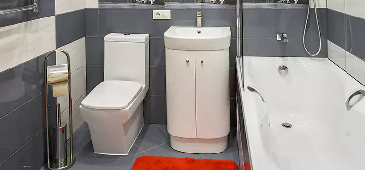 Hansgrohe Shaving Mirror Janesville